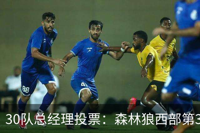 30队总经理投票：森林狼西部第3，却又被选为最难预测